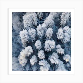 Aerial View Of Snow Covered Trees Art Print