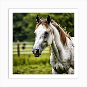 White Horse In A Field Art Print