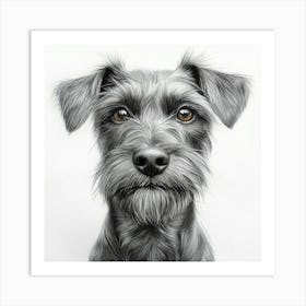 Irish Terrier 1 Art Print