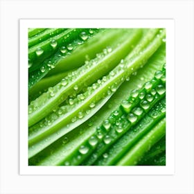 Green Leaf With Water Droplets Art Print