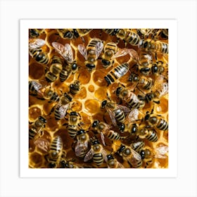 Bees On A Honeycomb 5 Art Print