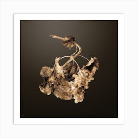Gold Botanical Vermentino Grapes on Chocolate Brown n.4723 Art Print