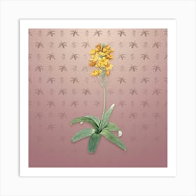 Vintage Sun Star Botanical on Dusty Pink Pattern n.0922 Art Print