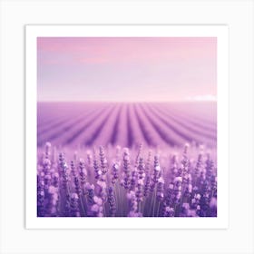 Lavender Field At Sunset Art Print