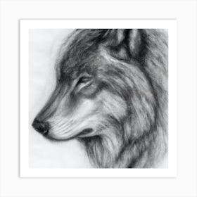 Wolf Sketch Art Print