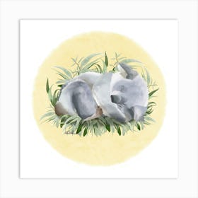 Koala Art Print