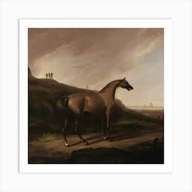 Horse On A Hillside Art Print