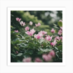 Pink Flowers In The Garden Art Print