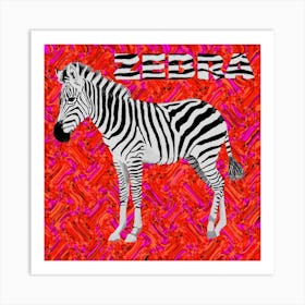 Zebra Square Art Print