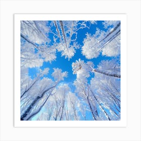 Winter Trees In The Snow Photo Art Print