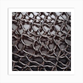 Photography Of The Texture Of A Metallic Mesh Art Print