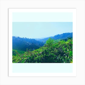 Green Mountain View Art Print