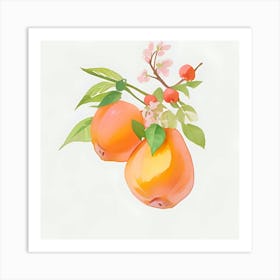 Apricot Art Print