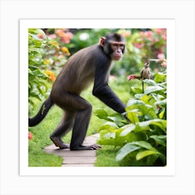 Monkey In The Garden Photo Art Print