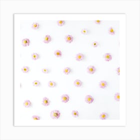 Pink Daisies On White Background Art Print