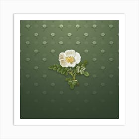 Vintage White Burnet Rose Botanical on Lunar Green Pattern n.0710 Art Print