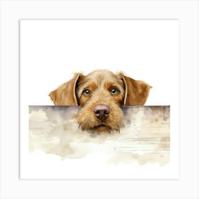 Wirehaired Vizsla Dog 3 Art Print