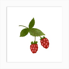 Raspberries branch Art Print