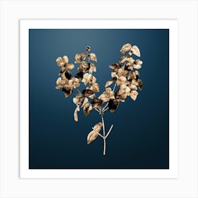 Gold Botanical Platilobium on Dusk Blue n.0287 Art Print