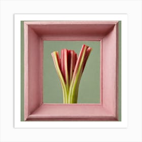 Rhubarb 45 Art Print