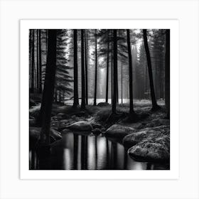 Forest In Black And White 1 Art Print