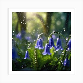 Water Droplets on Bluebell Flowers Art Print