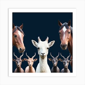 Group Of Horses And Goats 3 Art Print