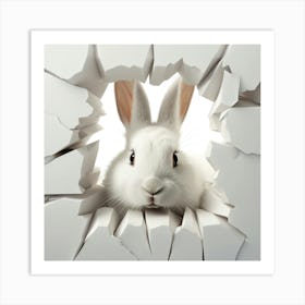 Rabbit Through A Hole 1 Art Print