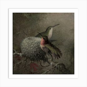 Hummingbirds In Nest 1 Art Print