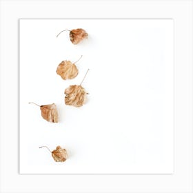 Autumn Leaves On White Background Art Print