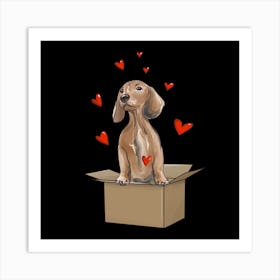 Dachshund In A Box animals love Art Print