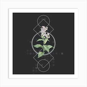 Vintage White Gillyflower Bloom Botanical with Geometric Line Motif and Dot Pattern n.0358 Art Print