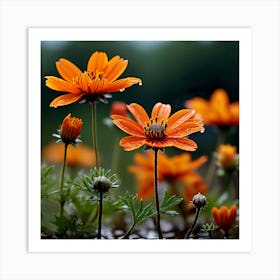 Landscape Beautiful Vibrant Wild Flowers Art Print