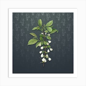 Vintage Mountain Silverbell Botanical on Slate Gray Pattern n.0434 Art Print