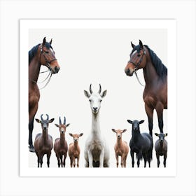 Herd Of Goats Art Print