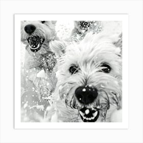 Three White Dogs In The Snow Art Print