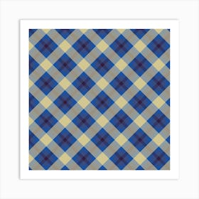 Plaid Fabric 69 Art Print