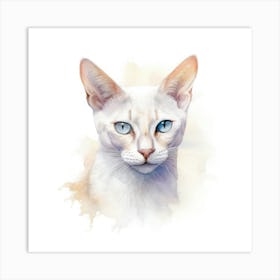 Colorpoint Shorthair Cat Portrait Art Print