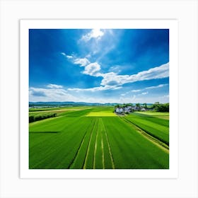 Green Farm Nature Field Landscape Countryside Agriculture Grass Gold Grow Japan Air Plan (8) Art Print