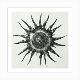 Octopus Sun Art Print