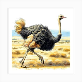 Ostrich Run Color Drawing - Wild Bird Artwork 131 Art Print