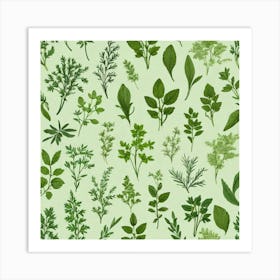 Seamless Pattern Of Herbs 6 Art Print