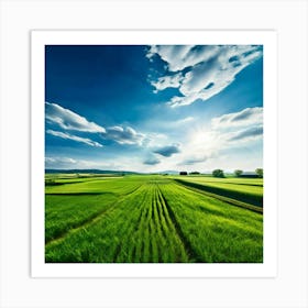 Green Field With Blue Sky Art Print