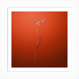 Gold Botanical Gladiolus Watsonius on Tomato Red n.0916 Art Print