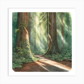 Redwood Forest Art Print