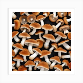 Mushrooms On A Black Background 5 Art Print