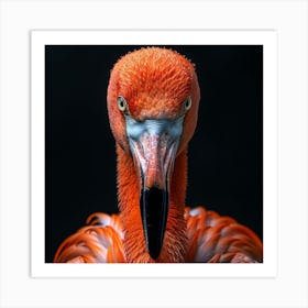 Flamingo Portrait 1 Art Print