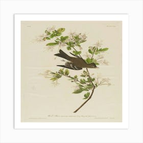 Bird Perched On A Branch 2 Art Print