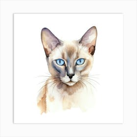 Tonkinese Mink Cat Portrait 1 Art Print