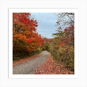 A Crisp American Autumn Scene Unfolds Embodying The Quiet Beauty Of A Fall Nature Trail Transitioni (3) 1 Art Print